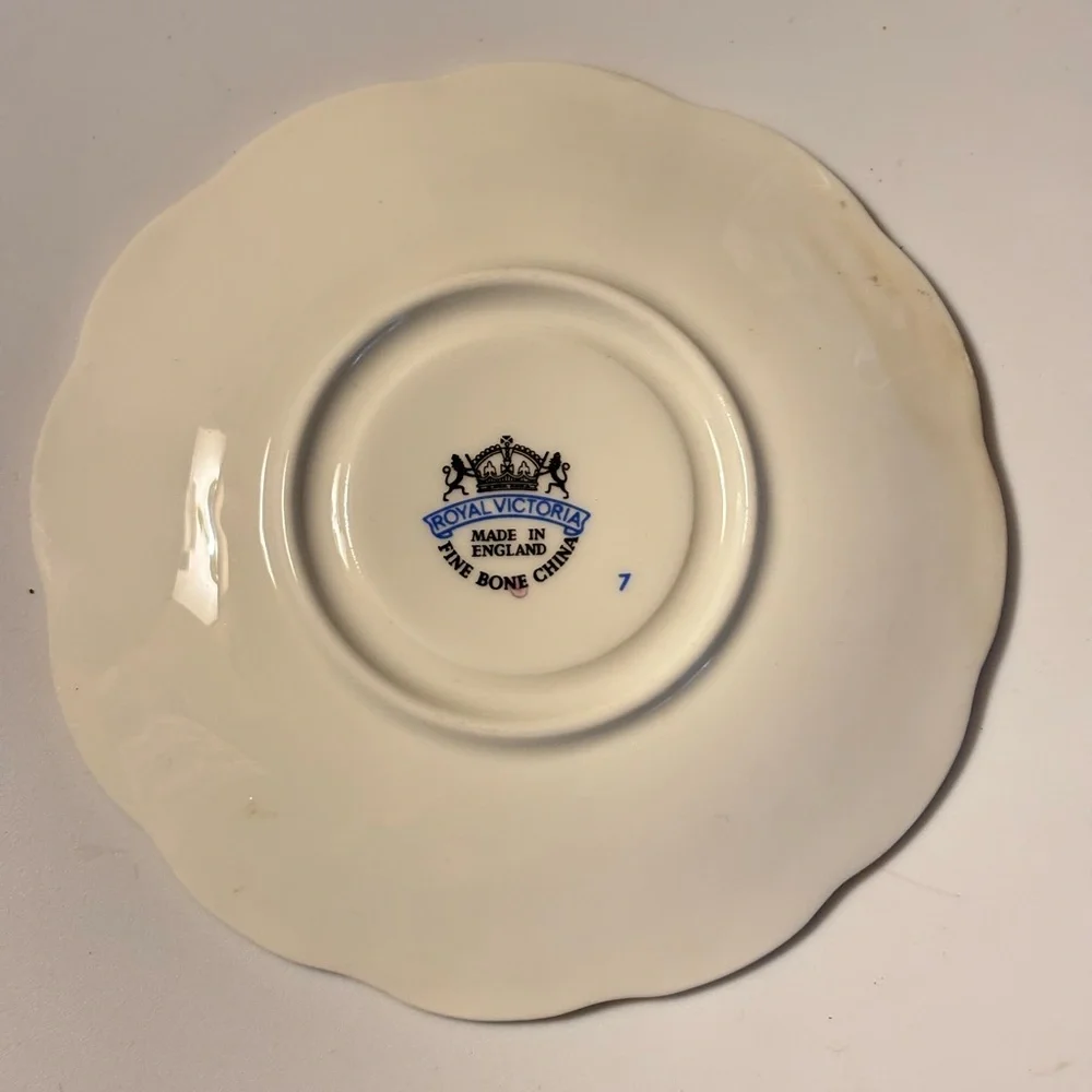 Royal Victoria Vintage Floral Bone China Teacup and Saucer - made in England